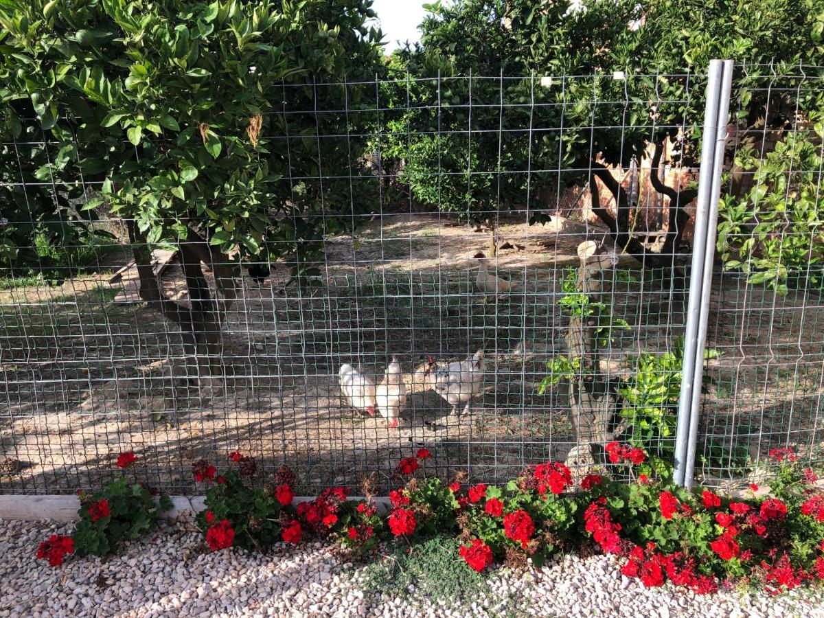 Casa Hortets Séjour à la campagne Deltebre